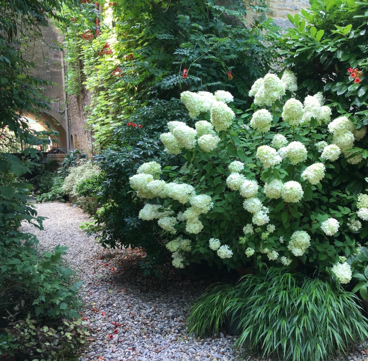Monte Arena Bed & Breakfast Montaren-et-Saint-Mediers ภายนอก รูปภาพ
