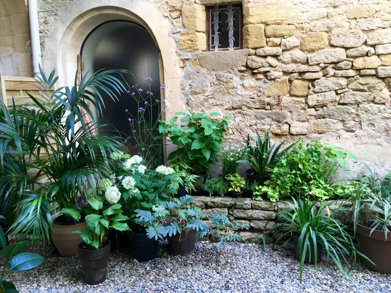 Monte Arena Bed & Breakfast Montaren-et-Saint-Mediers ภายนอก รูปภาพ